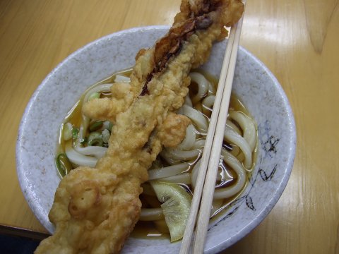 20080202_4.jpg