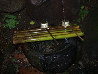 20080628_1.jpg