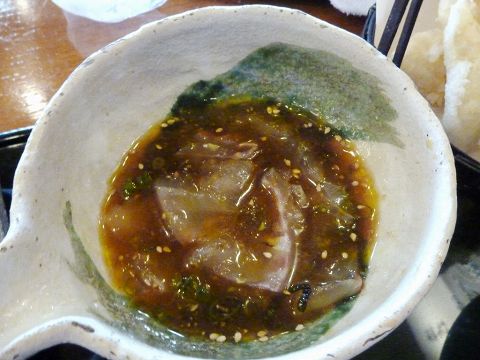 今治→松山自走と道後温泉