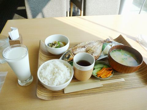 今治→松山自走と道後温泉