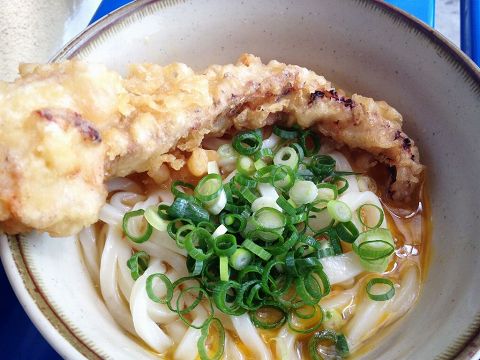 うどん巡りとフェリー