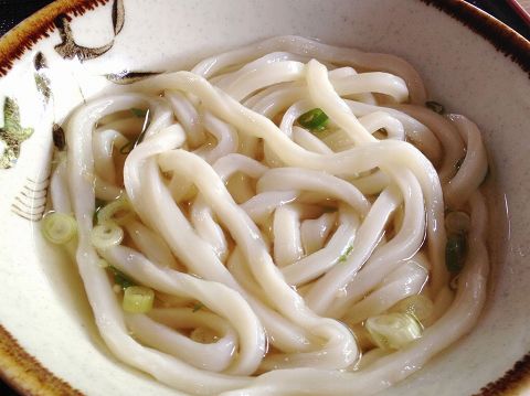 うどん巡りとフェリー