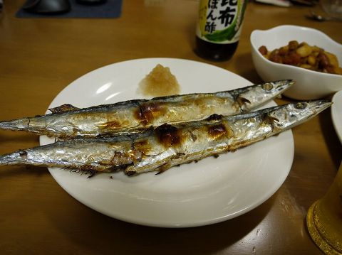 秋刀魚の塩焼き