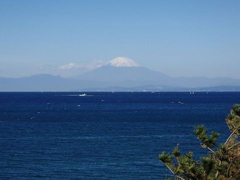 2012/11/10 朝練干物ラン