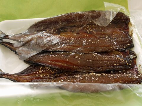 2012/11/10 朝練干物ラン