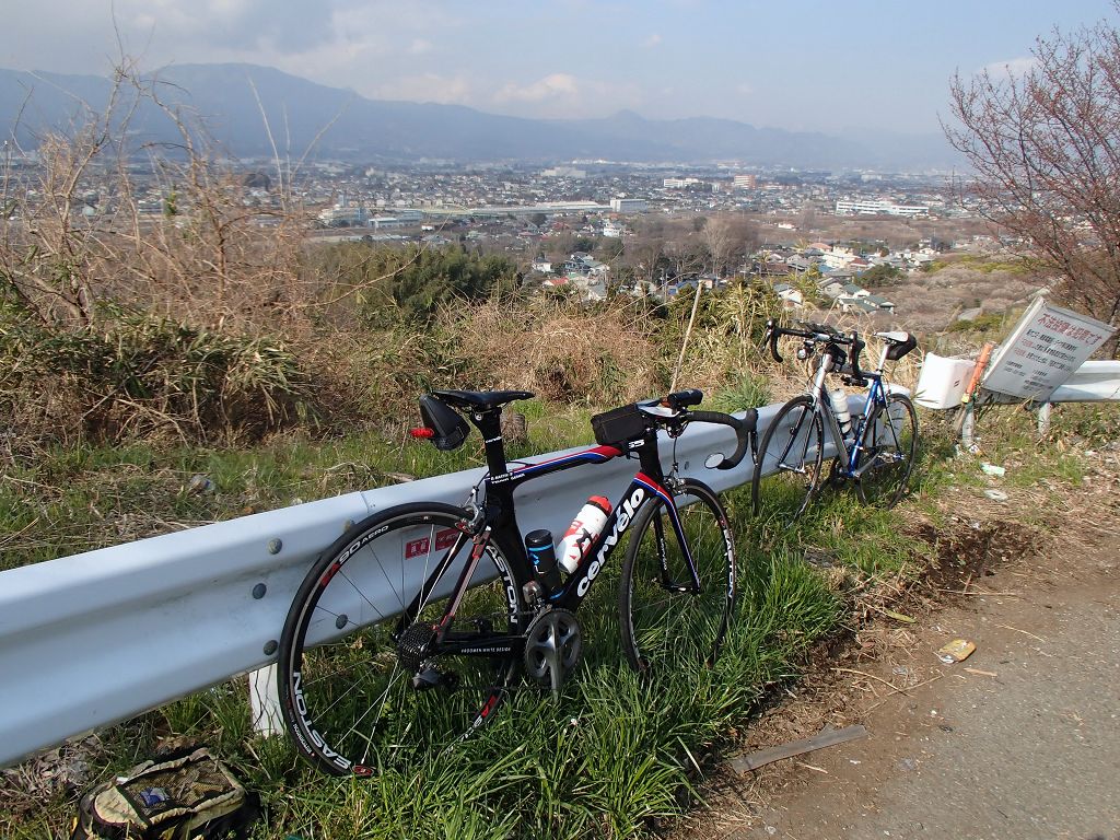 河津桜を見に伊豆を南下する