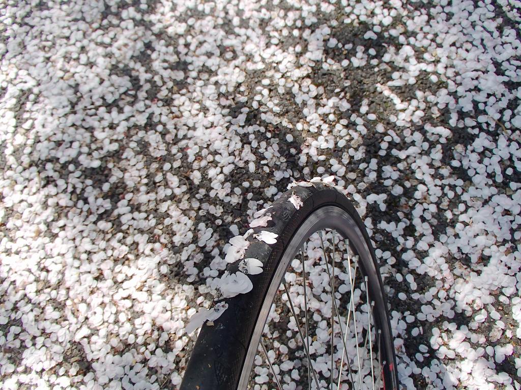 2014 GW後半1日目 BRM503羽越の見送り、などなど