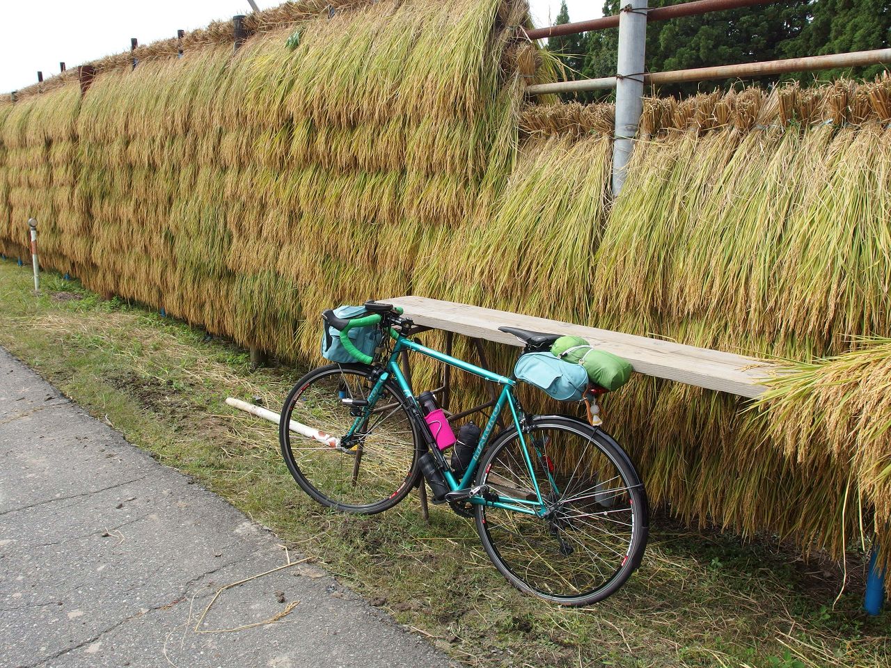 2014年 9月の新潟サイクリング
