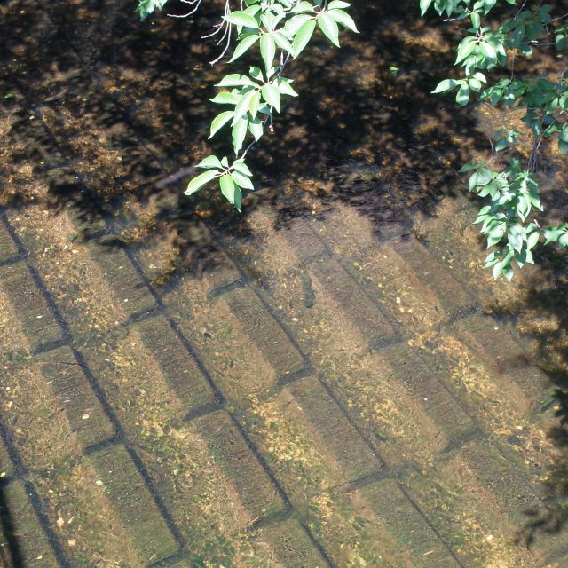 wp-1464839176159.jpg