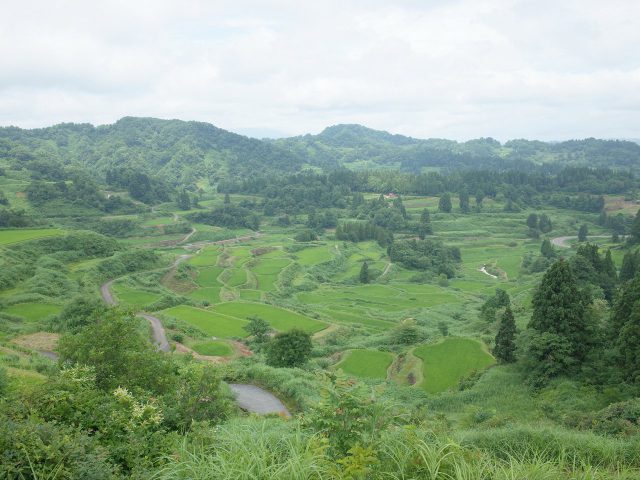 20160722_11