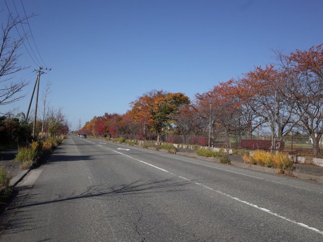 20161113_13