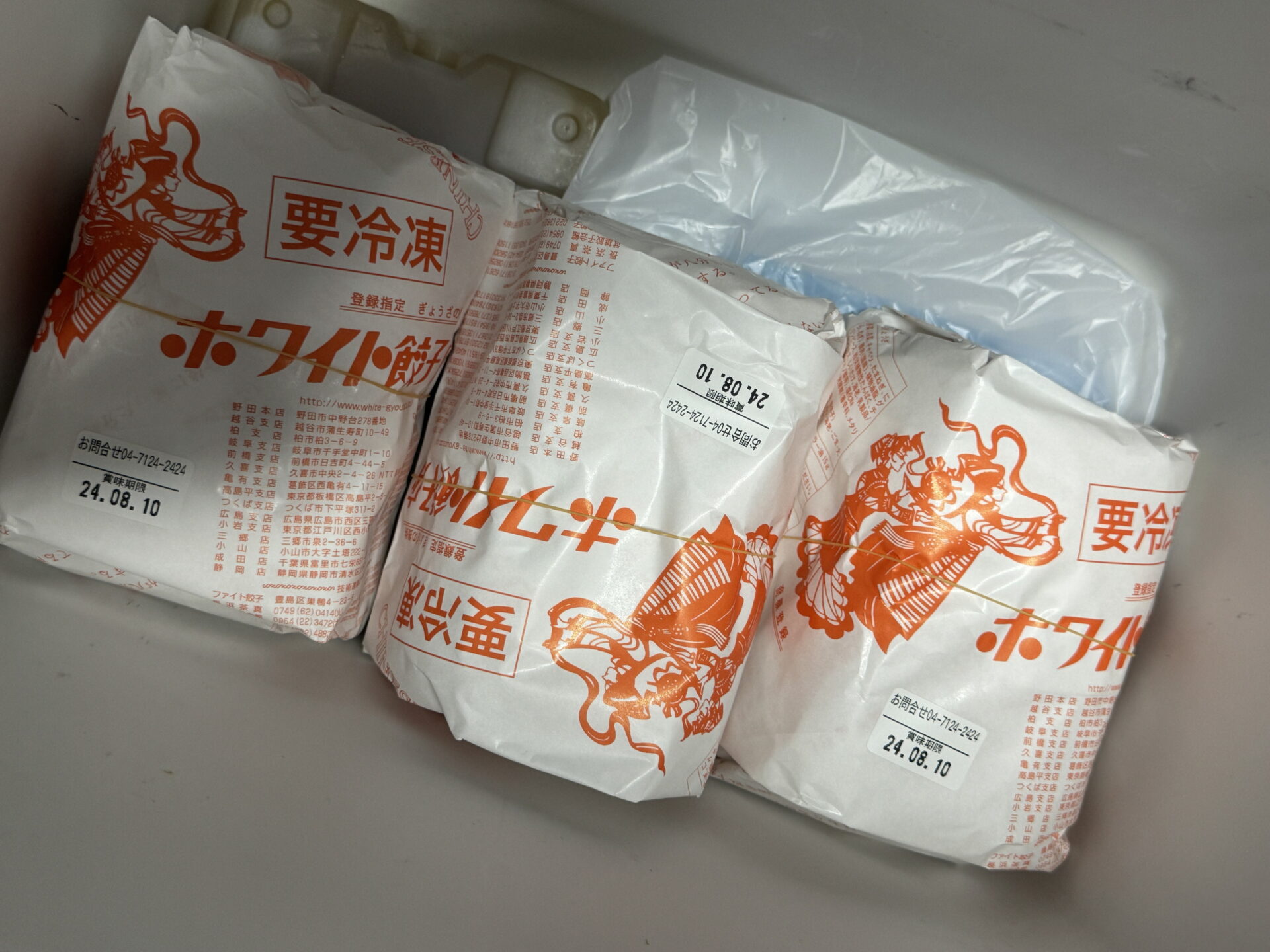 千葉の野田に泊まってOFF会に行って、ホワイト餃子買ってきた