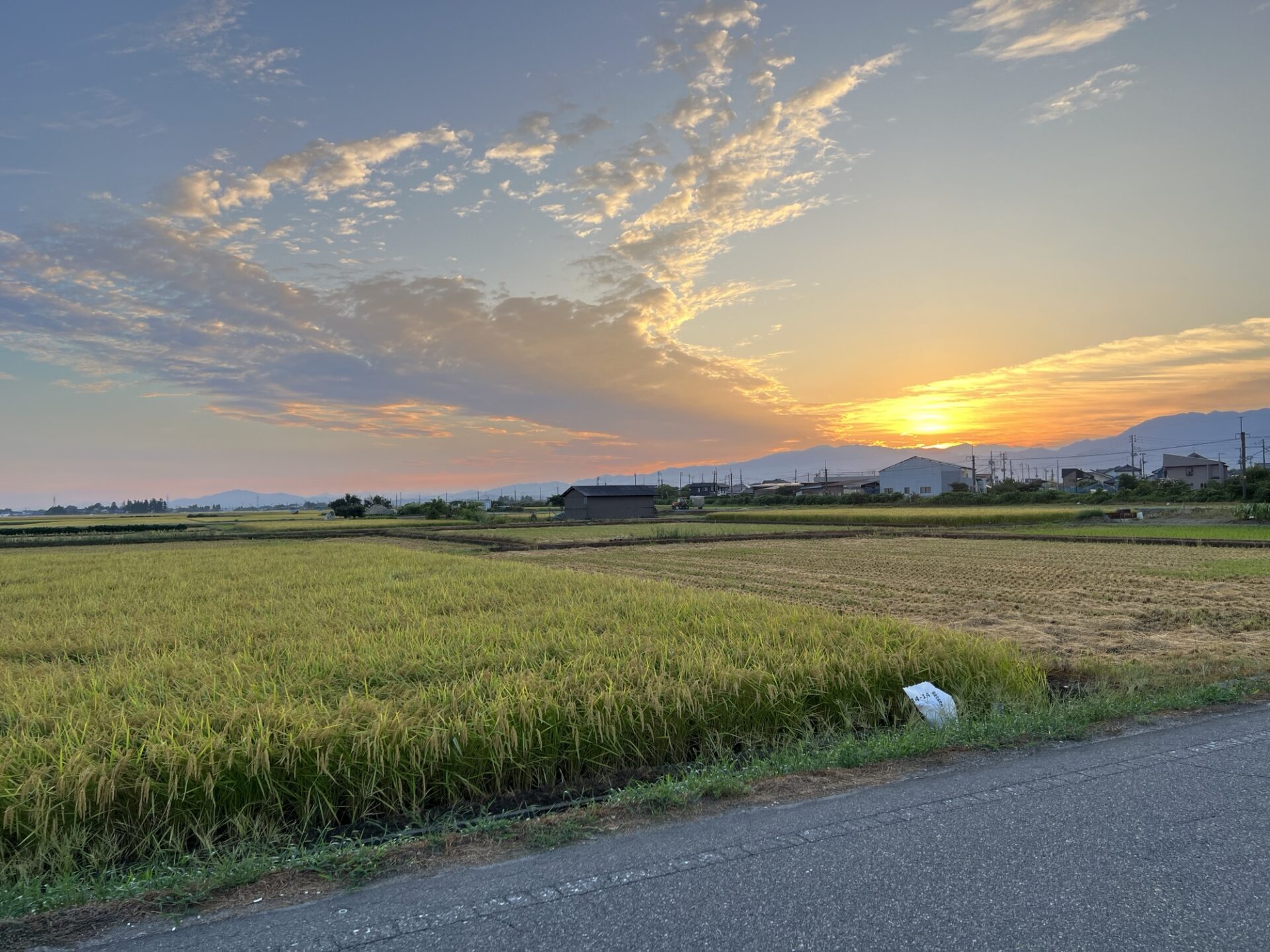 定額減税と衝動買いの誘惑