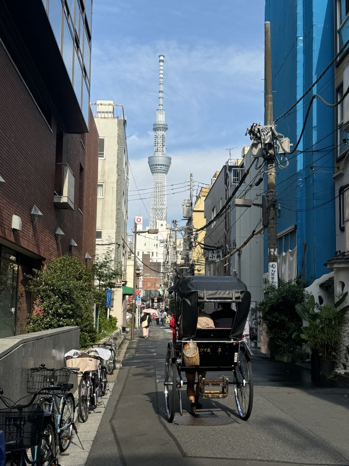 2024年初の上京 後編　～Y’s Road、秋葉原、浅草～