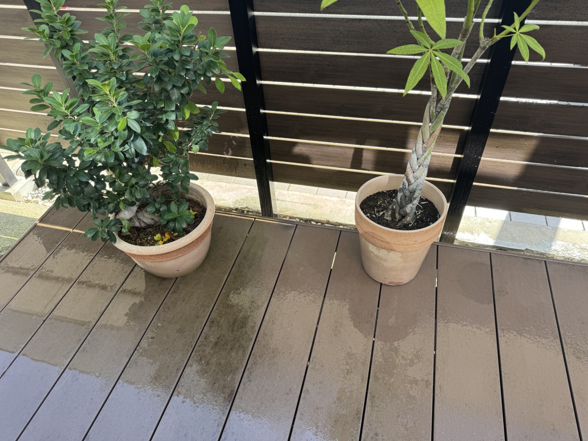 三連休はあっという間に終わった