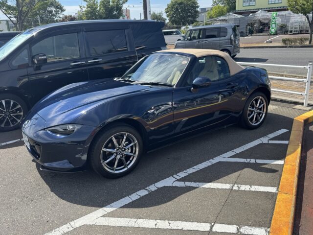 なにか新しい目標を立てねばならぬ