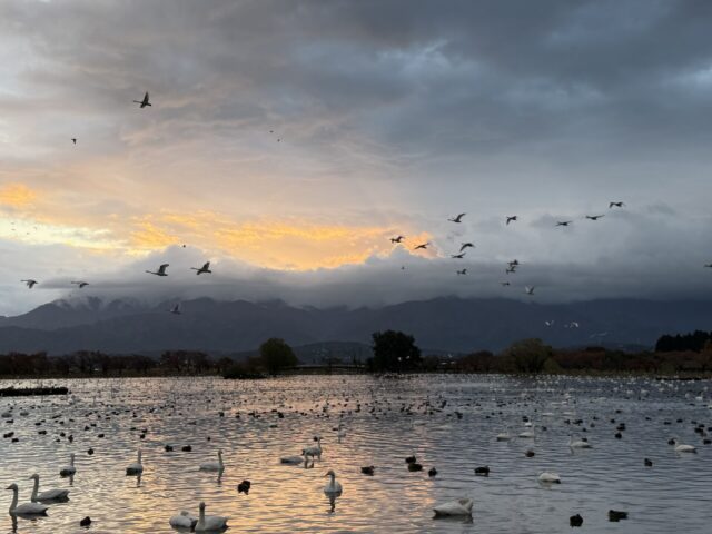 冬に備えた生活パターン崩しとトレーニング用品