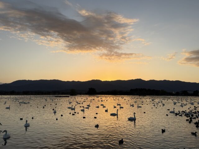 11月末の新潟とは思えない好天でした