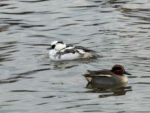 有酸素運動はしなくても体重は維持できる？