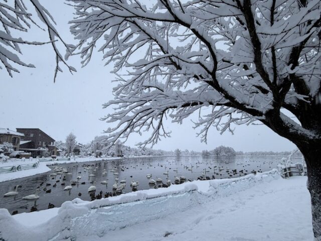 2026年の元旦は雪から始まり、新年会で暮れる