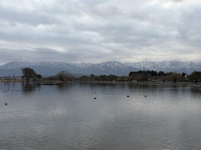 2月が終わって春を迎えるために家事に勤しむ