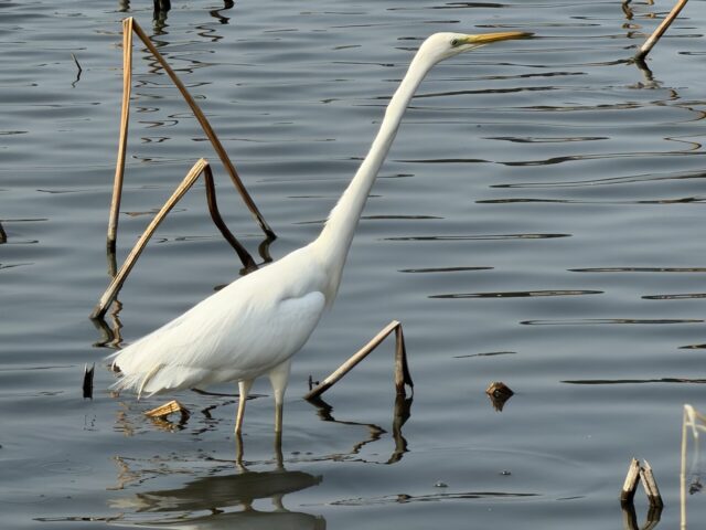 楽しい週末のあとに見えた、両親のお金の現実