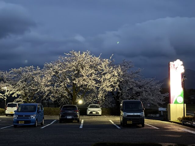 両親の家計整理とトレーニング環境の見直しをAIと相談して進める