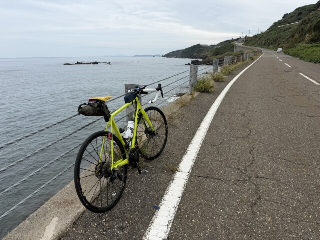 三本ローラー Tacx Galaxia T1100 - ばっきーのテキトー日記